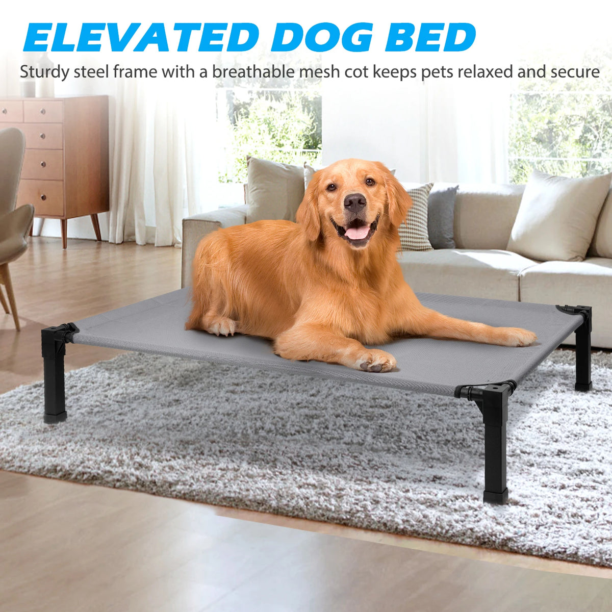 Elevated Dog Bed With Breathable Mesh And Metal Frame