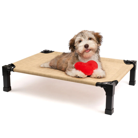 Elevated Dog Bed With Breathable Mesh And Metal Frame