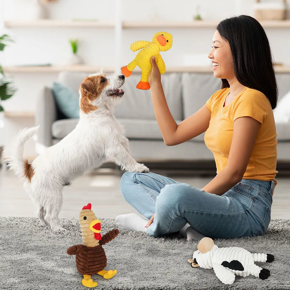 5 Pack Dog Toys Plush Dog Squeaky Toys, Assortment Value Bundle Animal Pet Toy for Small Medium Large Dogs, Stuffed Puppy Chew